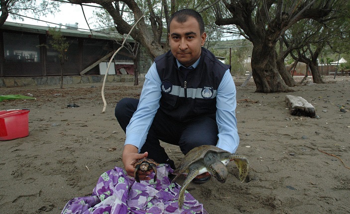 Caretta Carettalara Adrenalin iğnesi