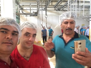 Kasaplığı kursta öğreniyorlar