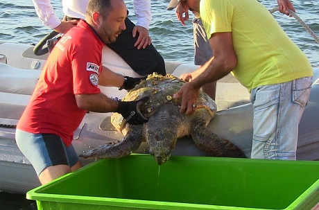 Bakır Kablo çetesi tutuklandı