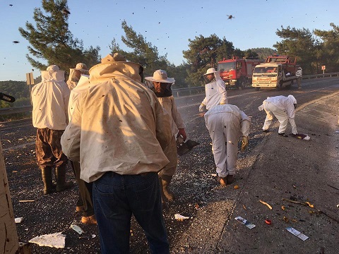 Arı kamyonu kaza yaptı: 2 yaralı