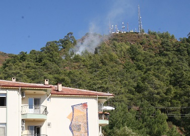 Orman yangını büyümeden söndürüldü
