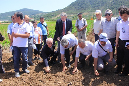 El, toprak ve tohum buluştu