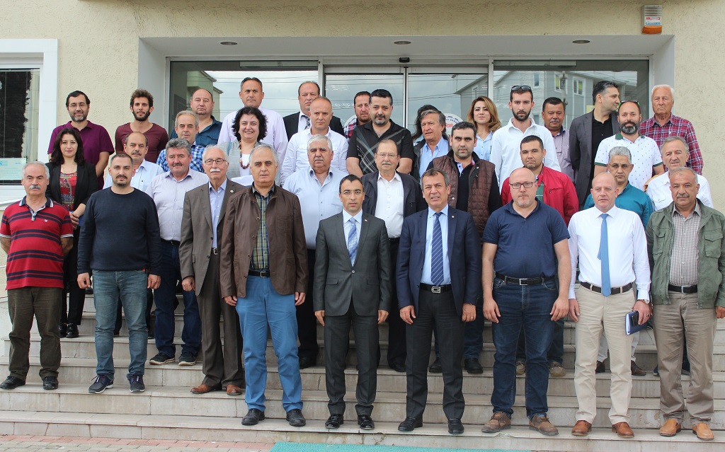 Zeytin Hasat Şenliği geleneksel olacak