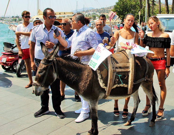 Reklam için eşeği sıcak altında gezdirdi