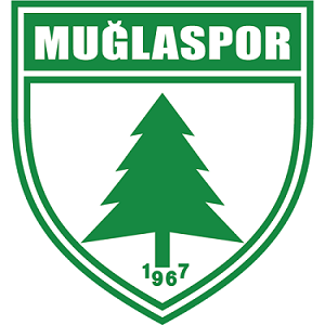 “MUĞLASPOR: BİR DÜŞÜŞÜN PERDE ARKASI” YAZI DİZİSİ BAŞLIYOR