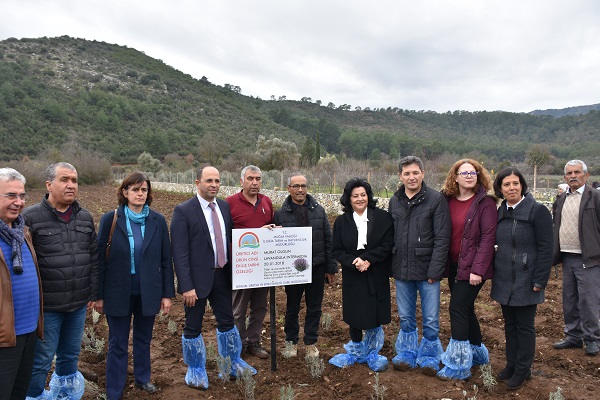 “Muğla tarımda güçlü bir kent”