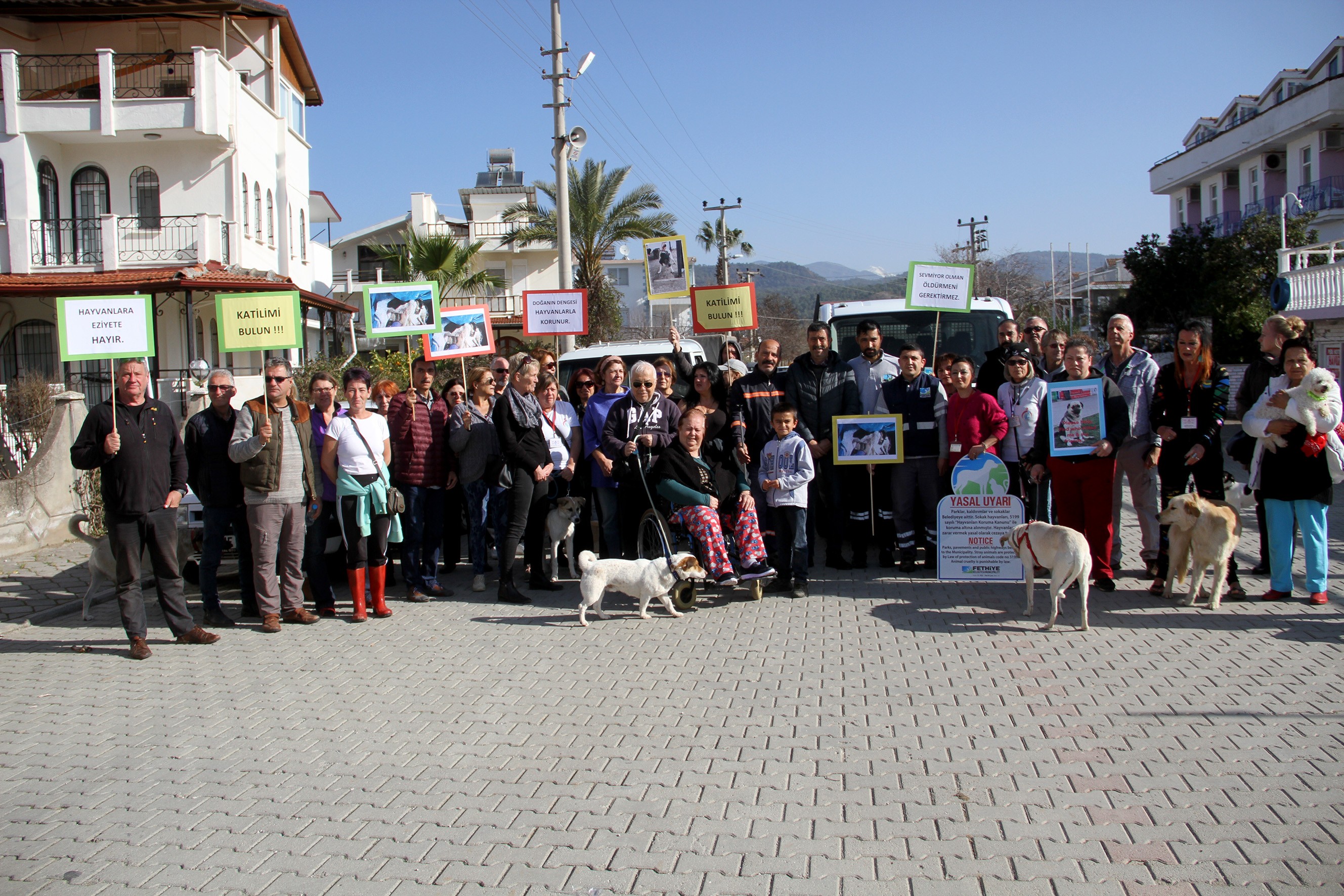 Sokak Hayvanlarının Zehirlenmesine  Protesto