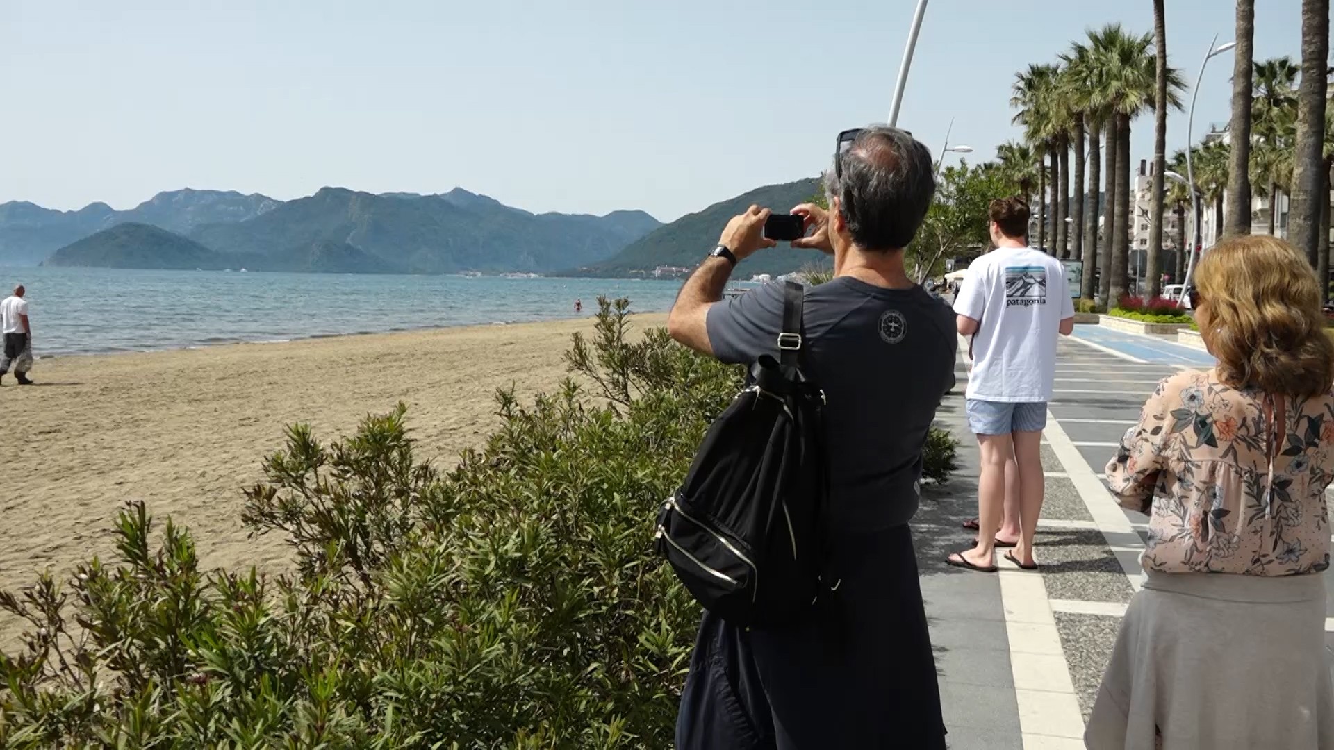 Yunuslar yüzdü, turistler videoya çekti