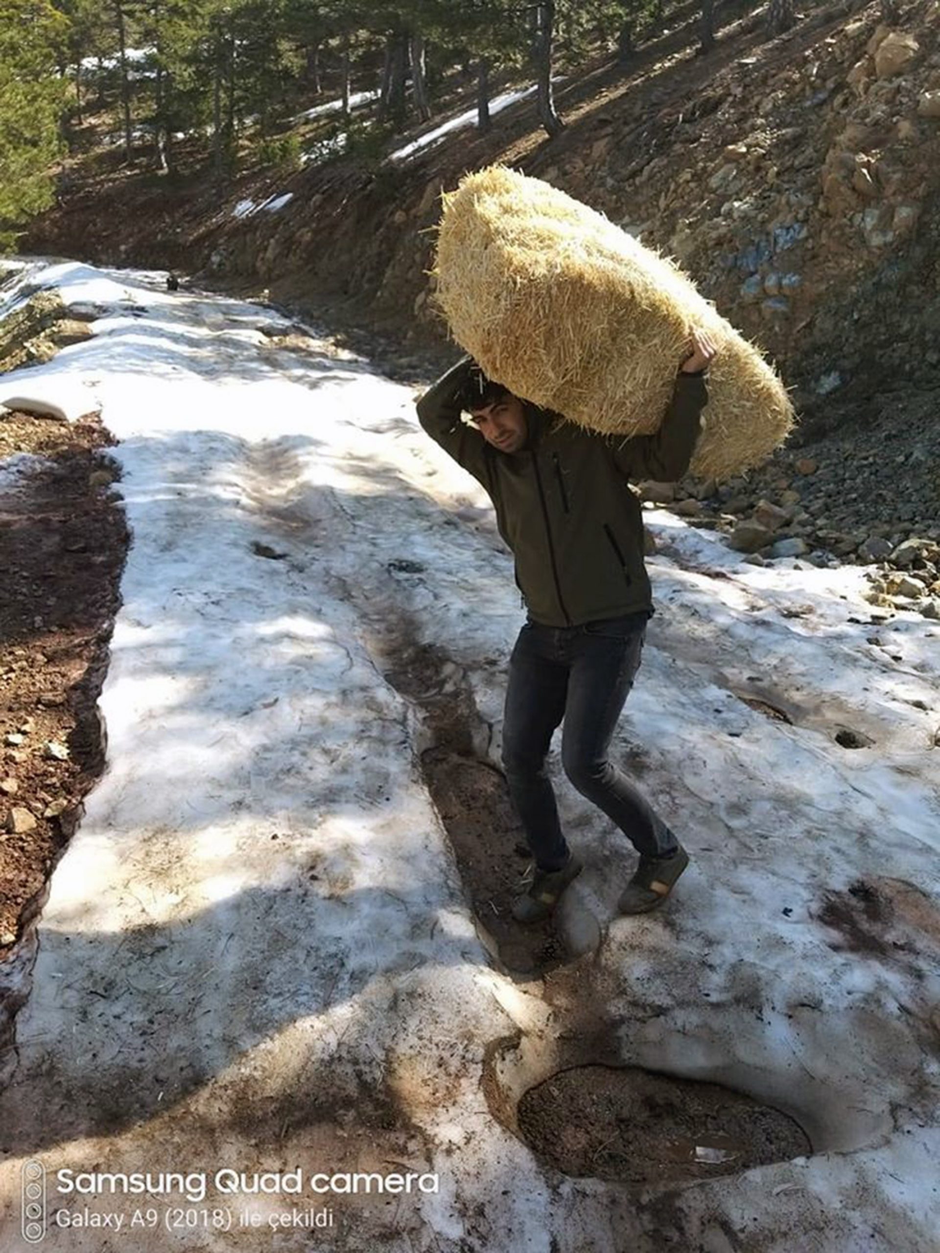 DKMP’den yaban hayatına yem desteği