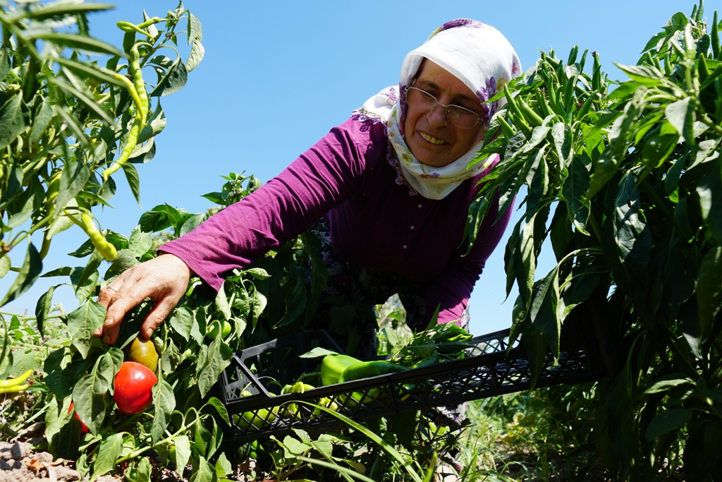 Doğal ürünler tüketiciyle buluşuyor