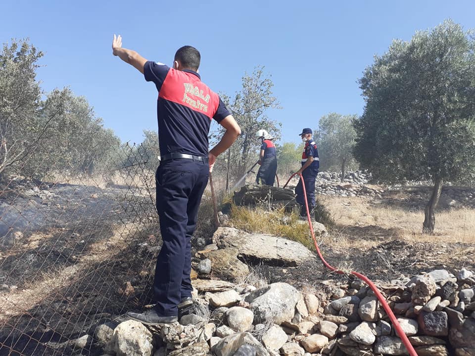 Yangın, ormana sıçramadan söndürüldü