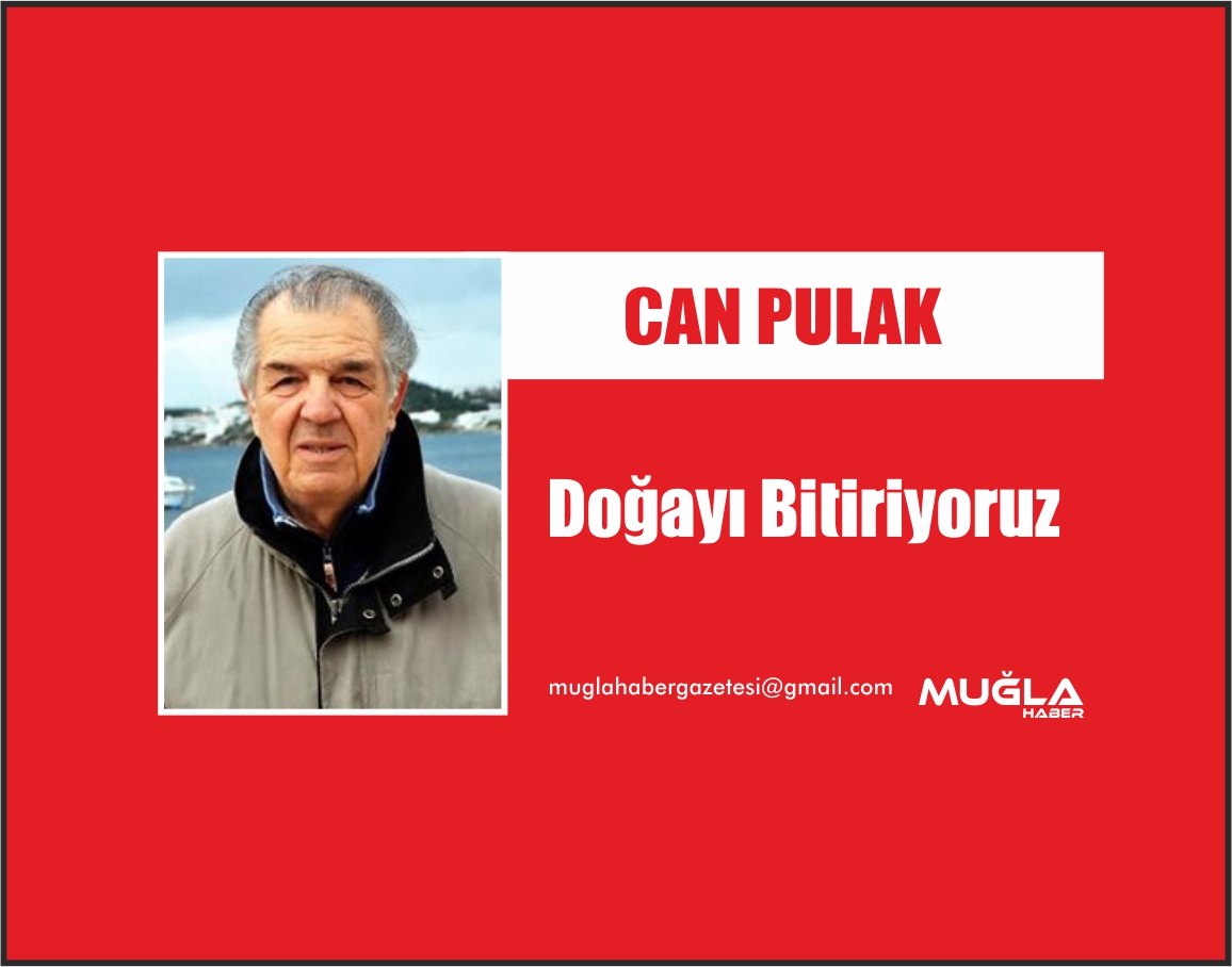 Doğayı Bitiriyoruz