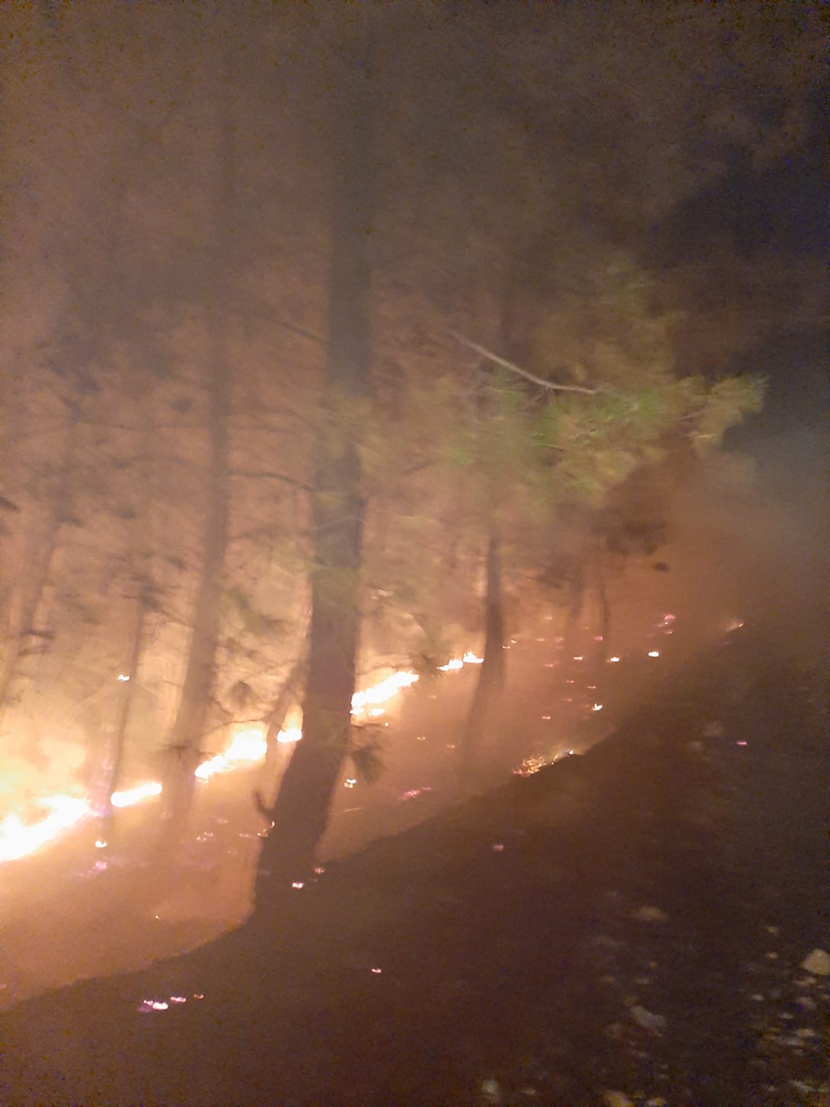 Muğla'da çıkan orman yangını söndürüldü