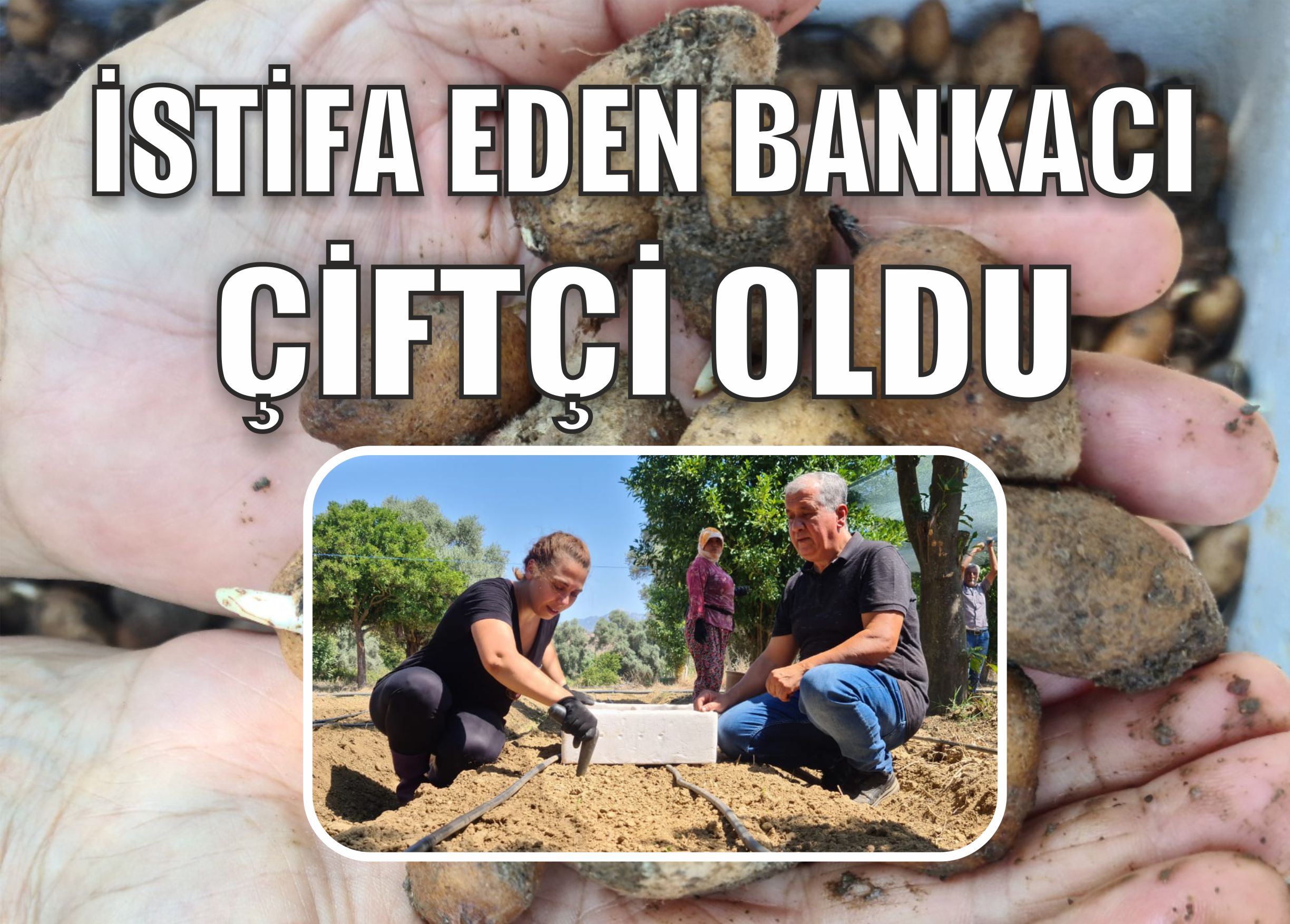 İstifa eden bankacı çiftçi oldu