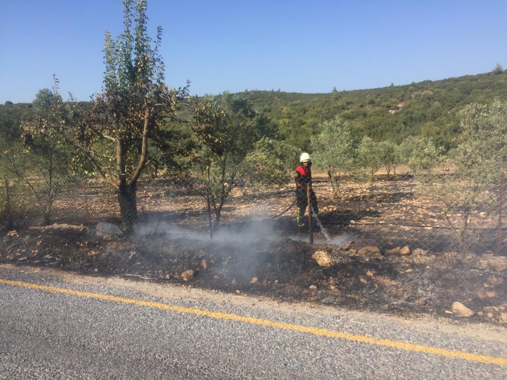 Muğla'da ot yangını