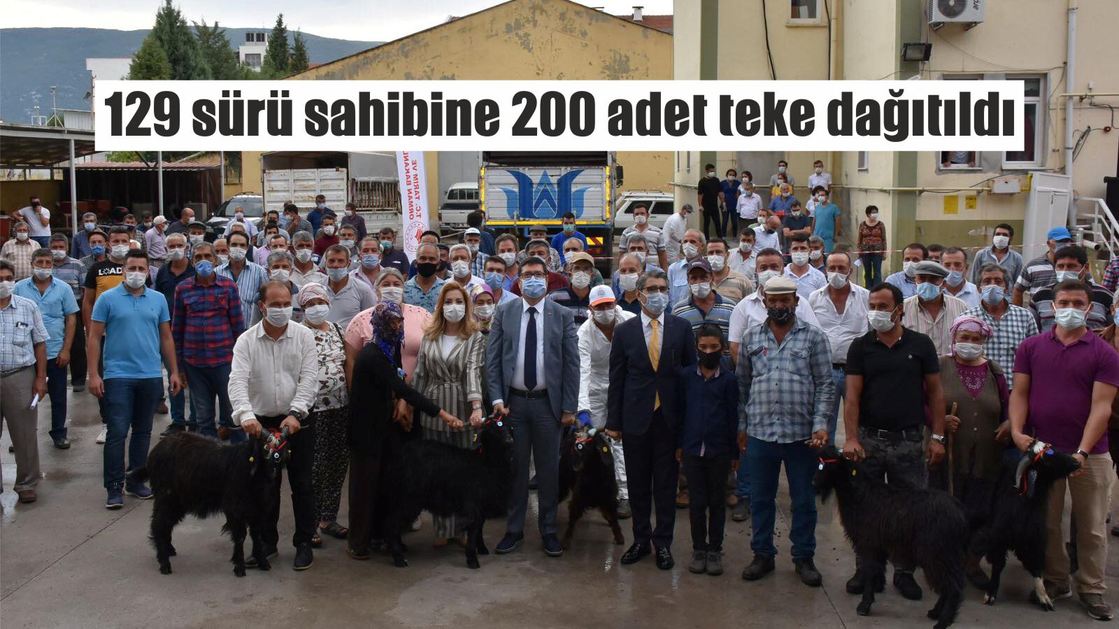 129 sürü sahibine 200 adet teke dağıtıldı