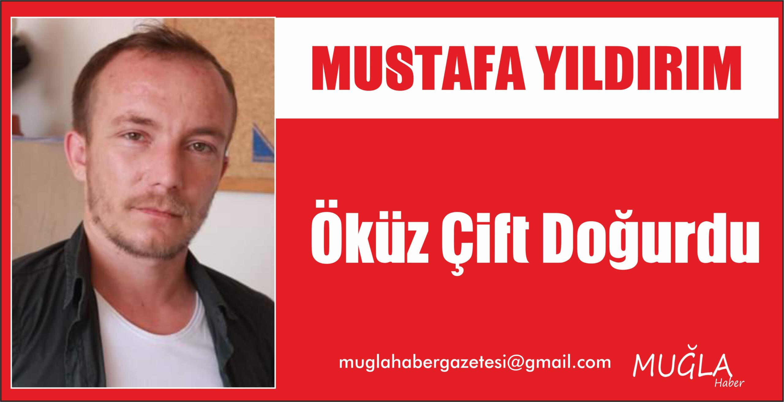 Öküz Çift Doğurdu