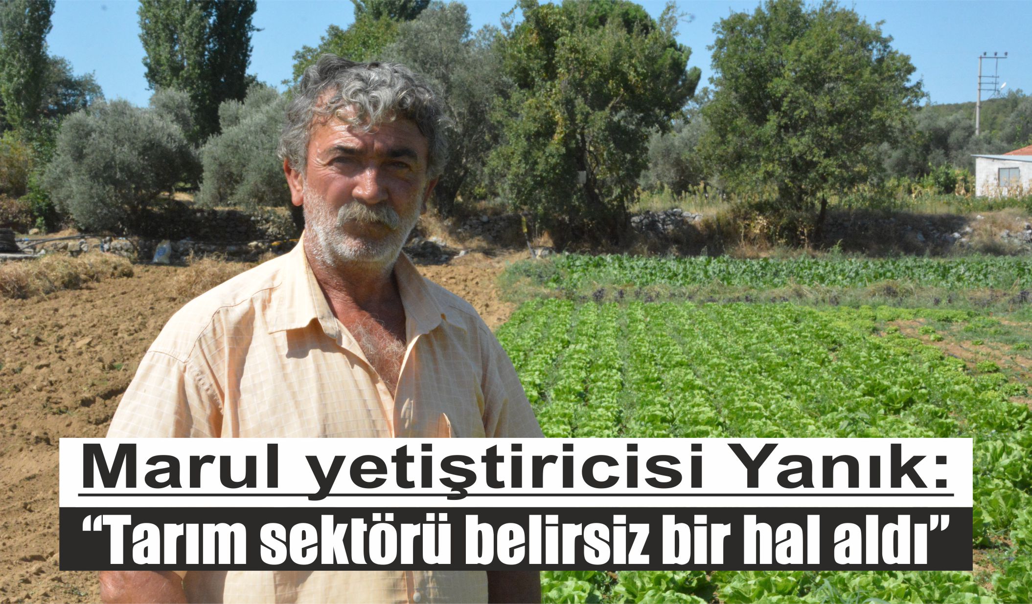 Marul yetiştiricisi Yanık:  “Tarım sektörü belirsiz bir hal aldı”