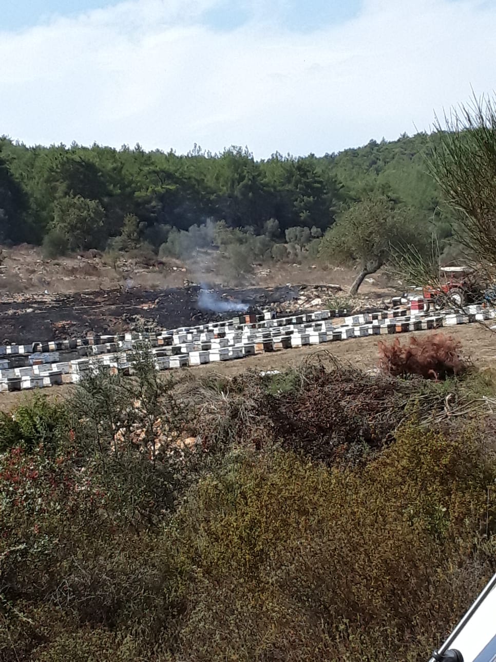 Çıkan yangında arı kovanları zarar gördü