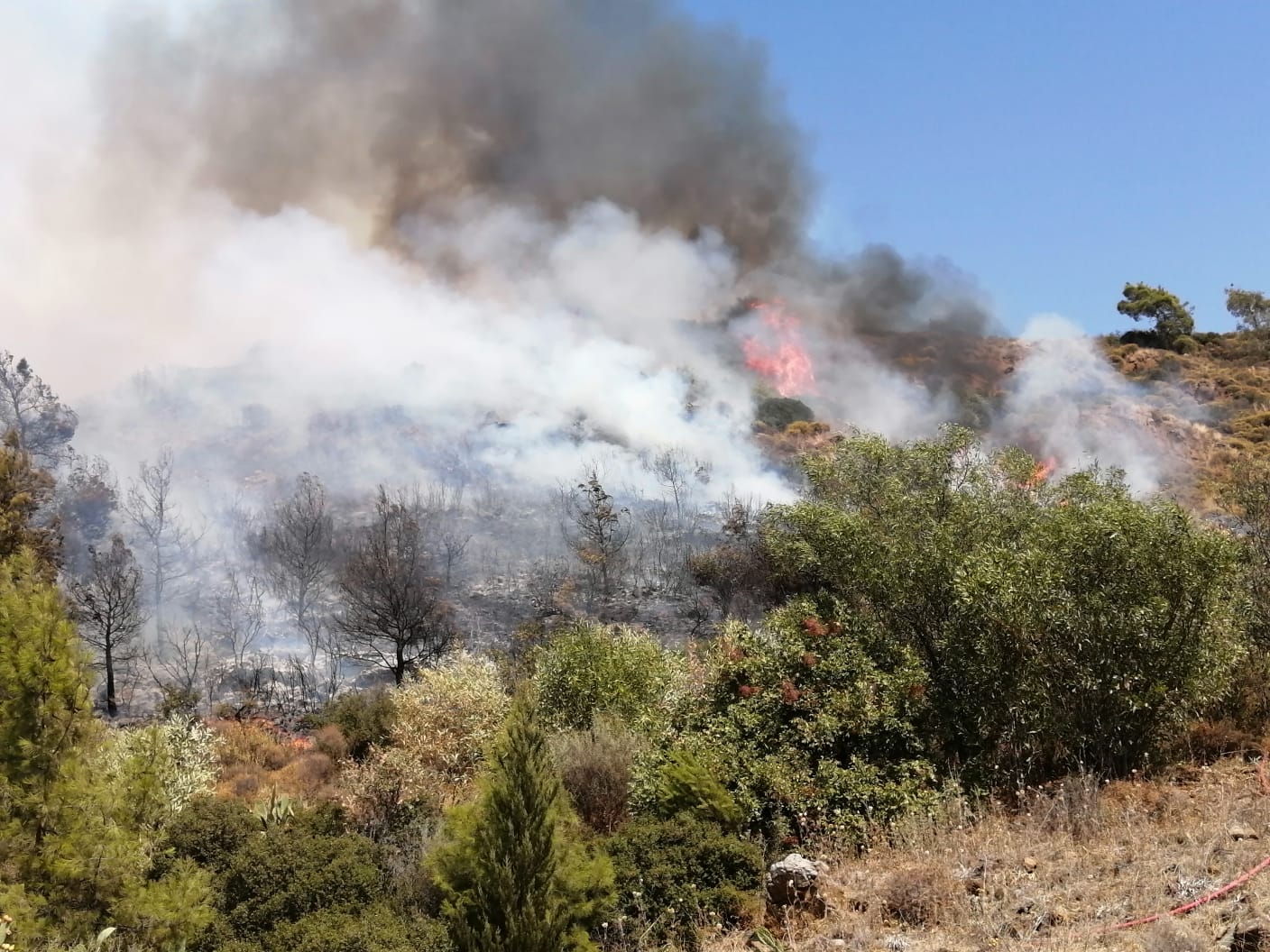 Muğla'da çıkan orman yangını söndürüldü