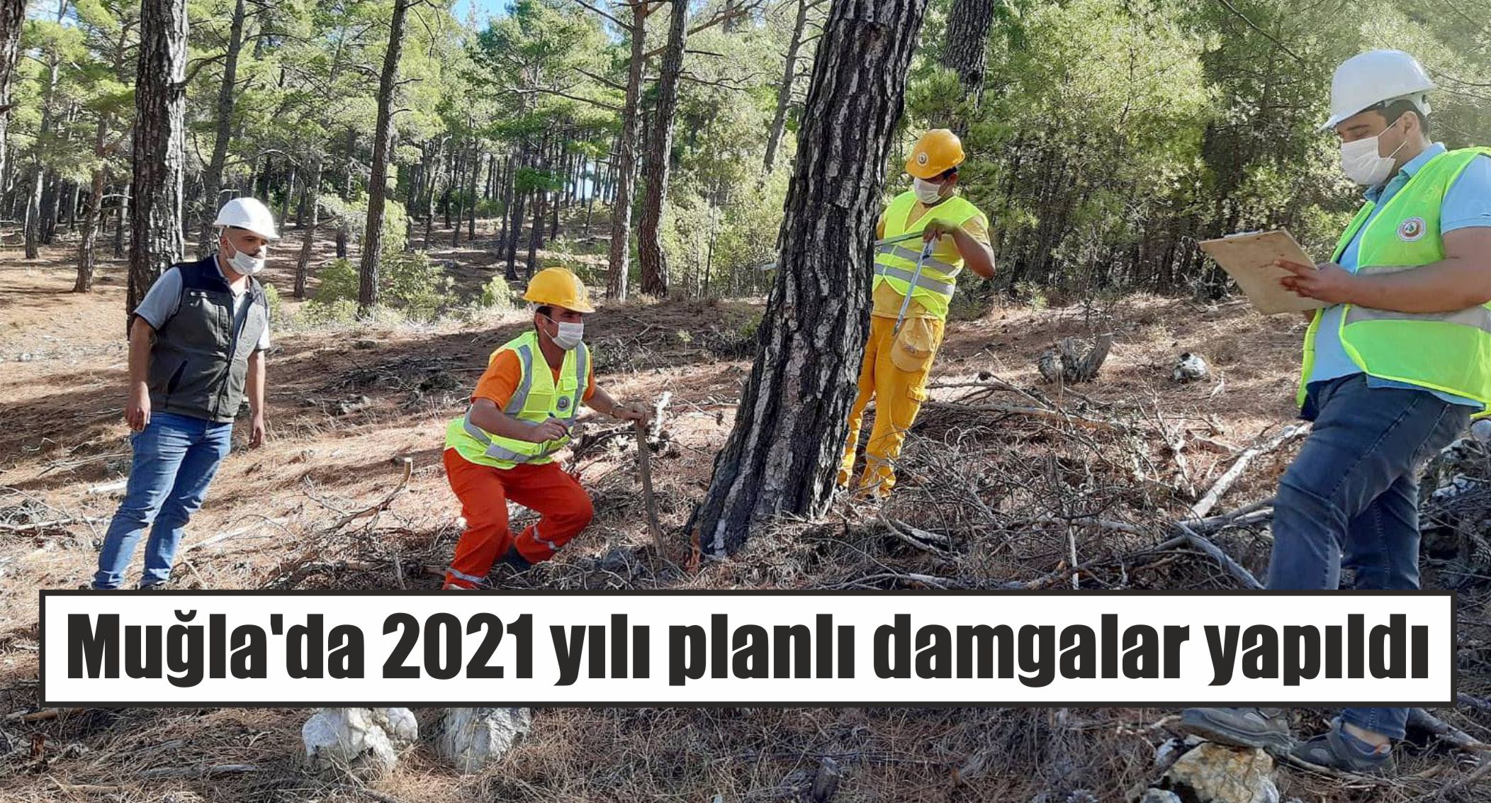 Muğla’da 2021 yılı planlı damgalar yapıldı