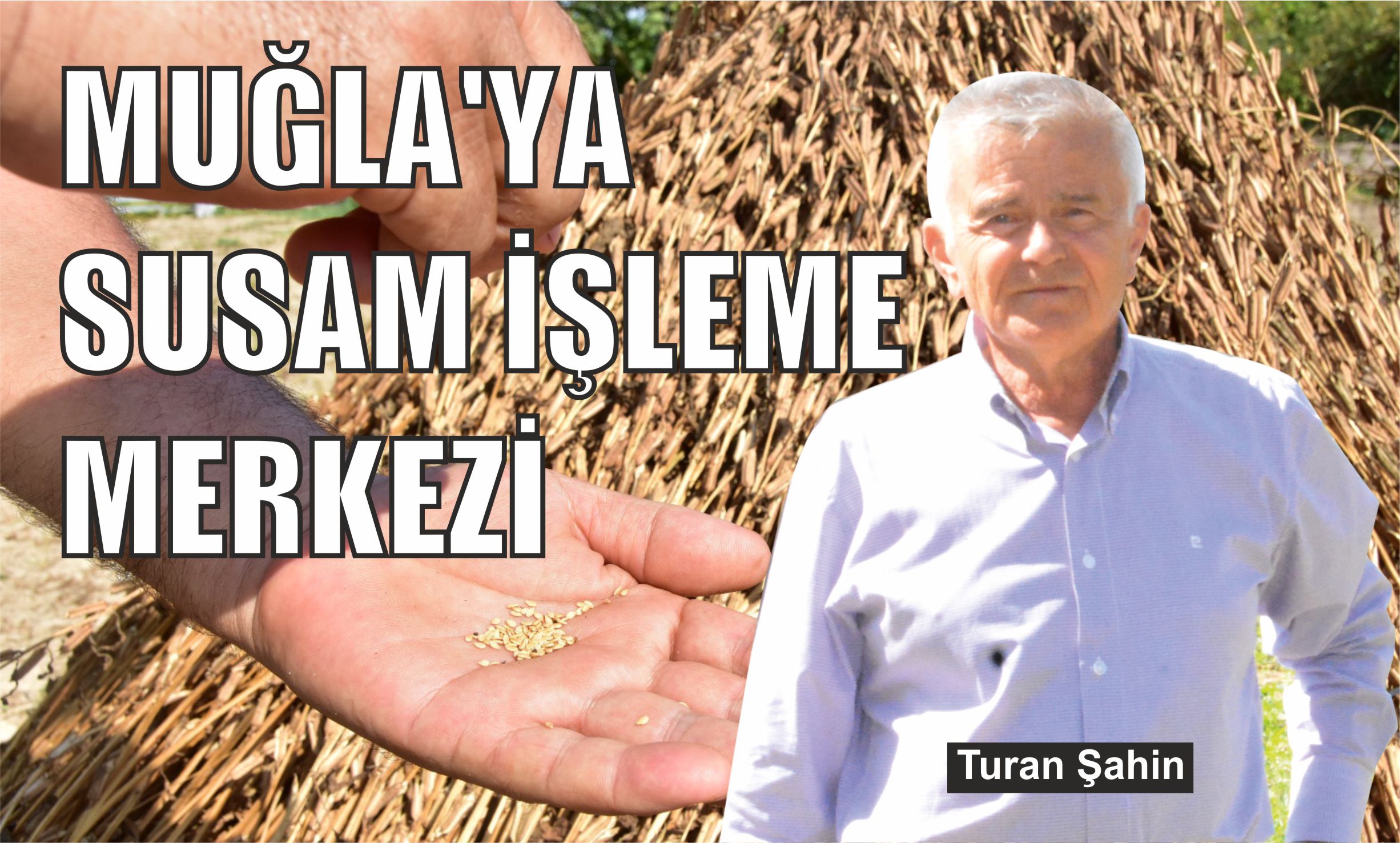 Muğla’ya susam işleme merkezi