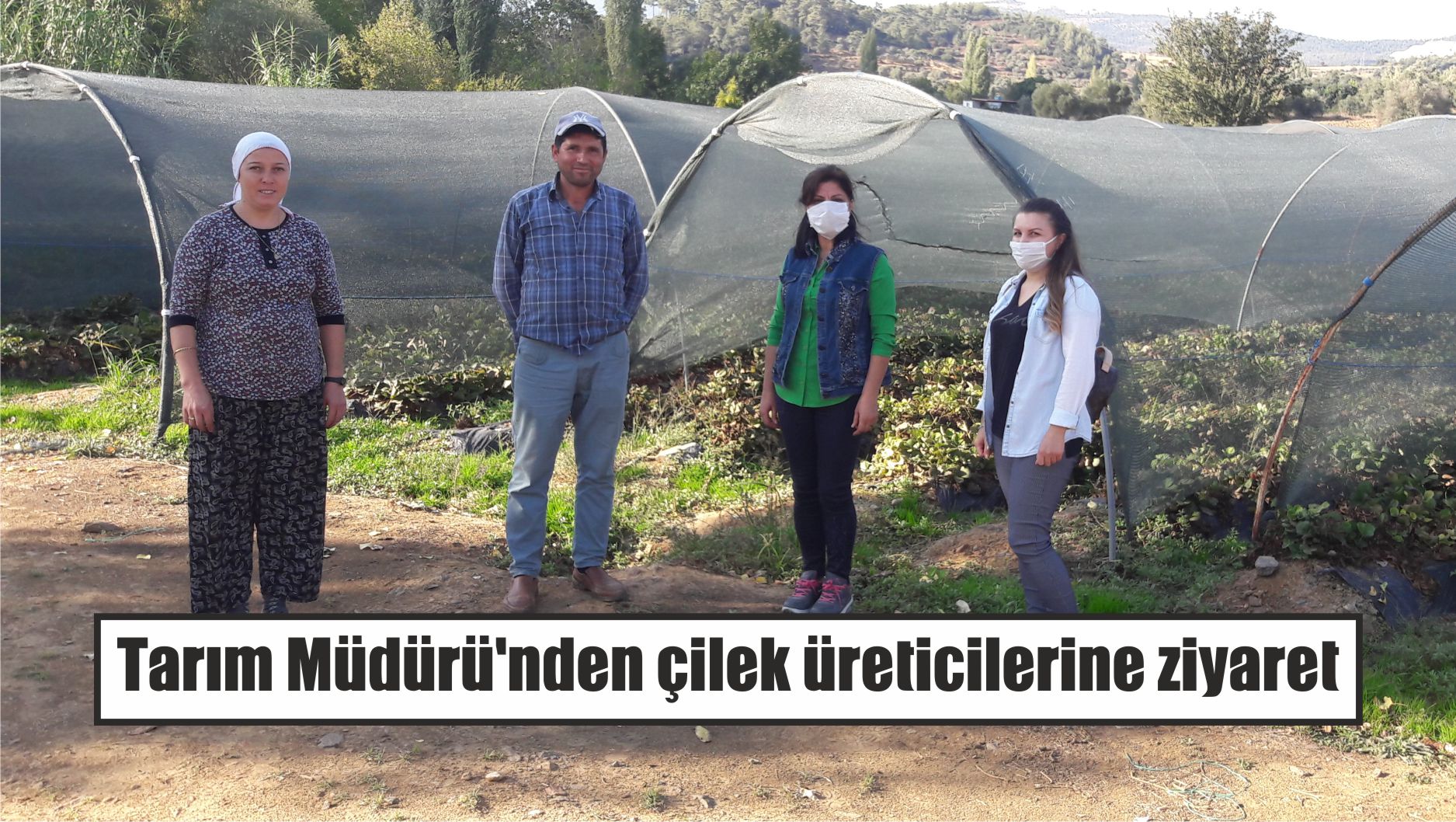 Tarım Müdürü’nden çilek üreticilerine ziyaret