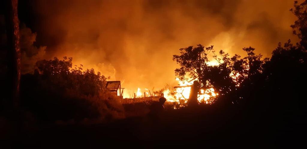 Muğla'da çıkan yangında 6 ahşap ev ile 2 dönüm ormanlık alan zarar gördü