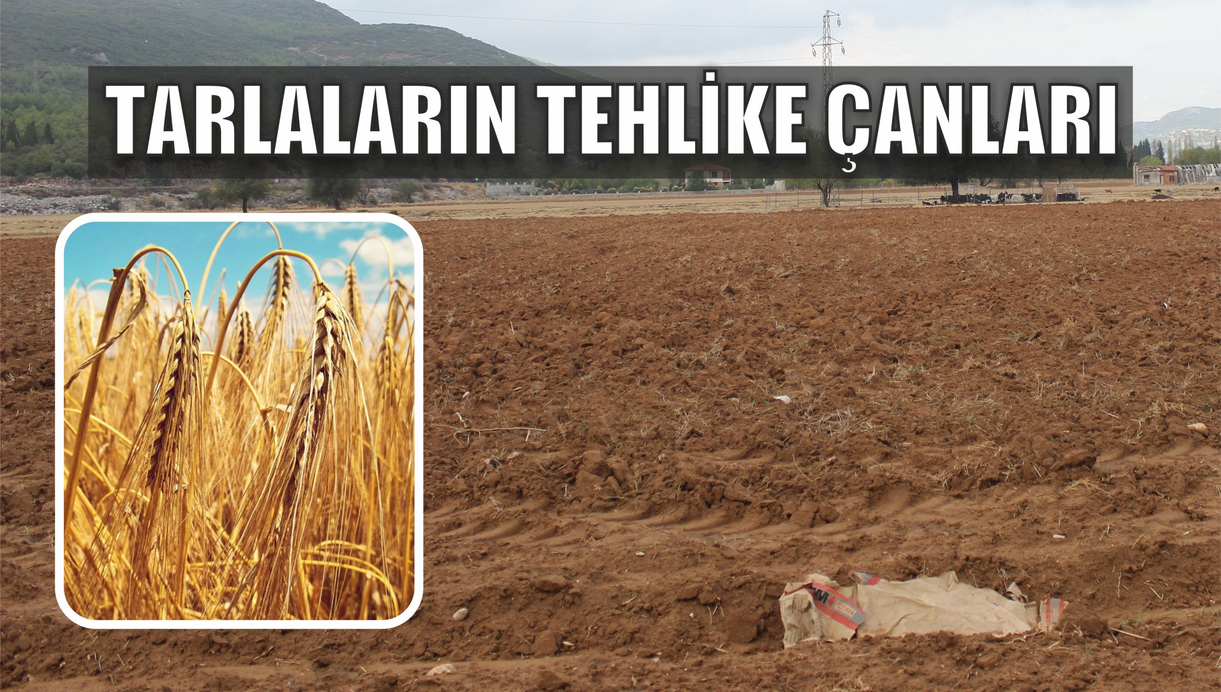 Tarlaların Tehlike Çanları