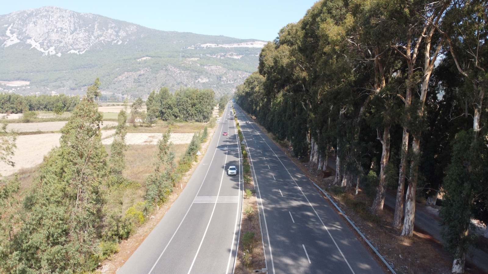 Bir Tablonun Güzelliği