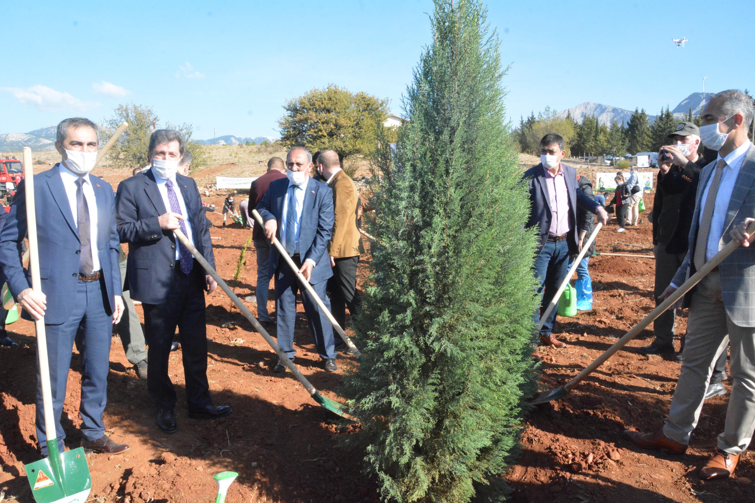 Muğla’da 10 Bin 650 Fidan Toprakla Buluştu