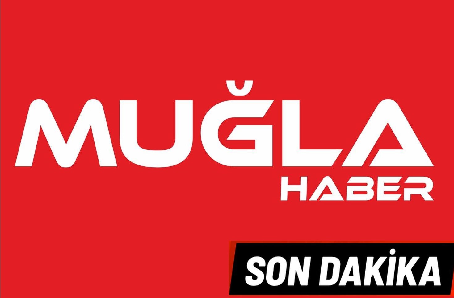 Merdiven hırsızları güvenlik kamerasında