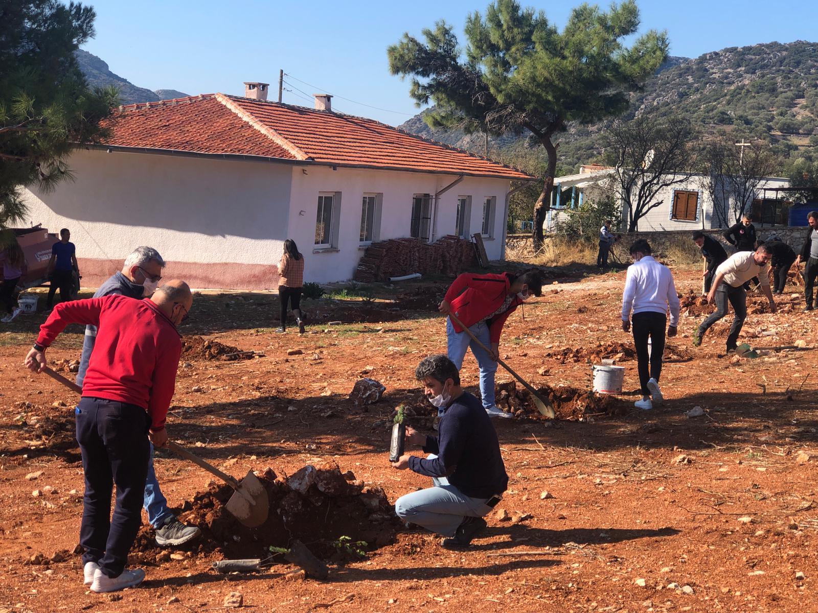 Datça'da MHP'liler fidan dikti