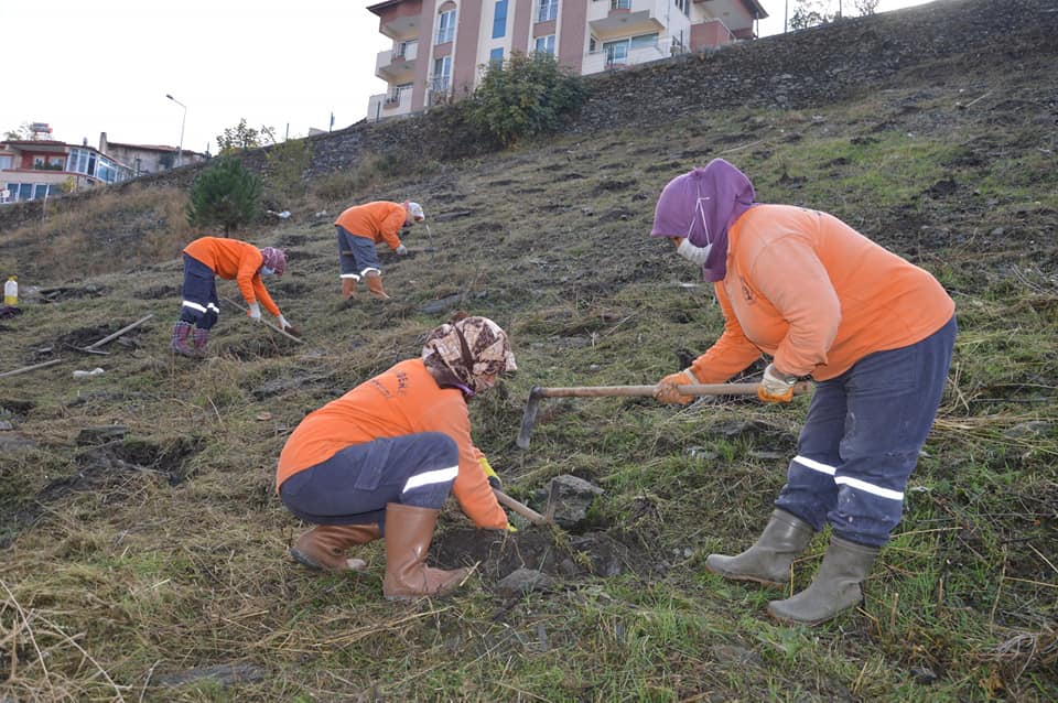 KAVAKLIDERE LAVANTA FİDESİYLE BULUŞTU