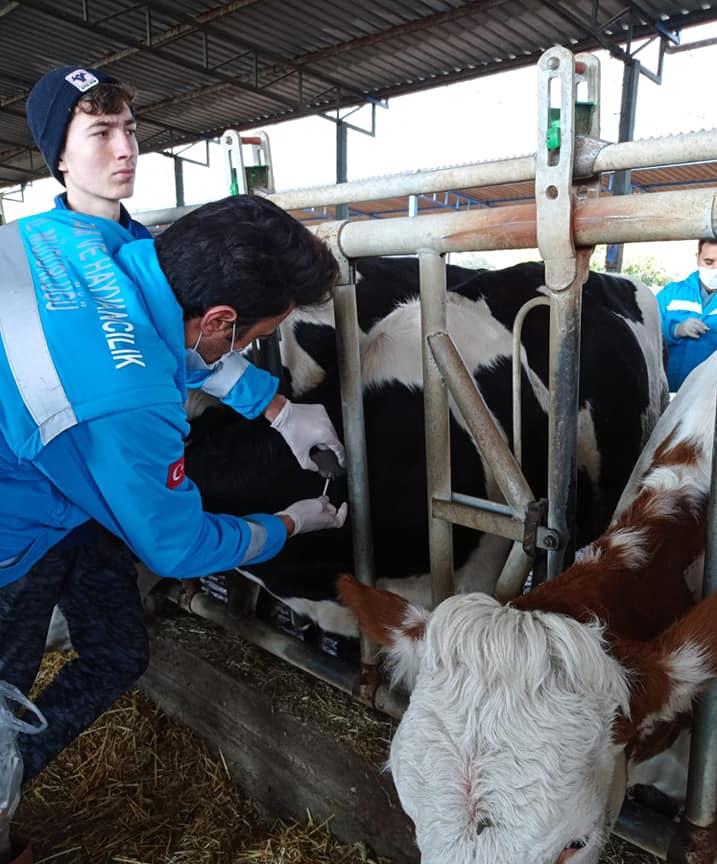 SAĞLIKLI GIDA ÜRETİMİ AMAÇLANIYOR