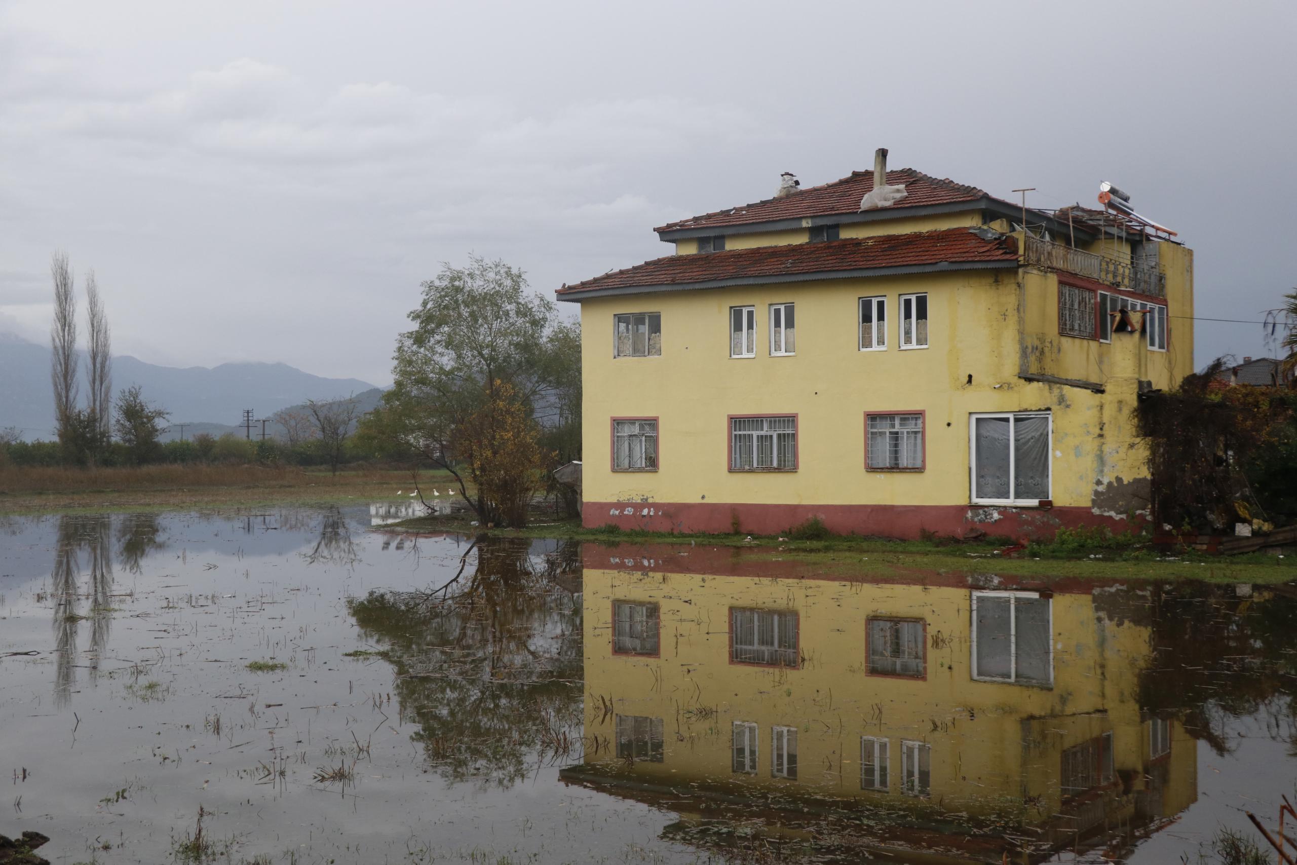 Muğla'da kuvvetli yağış etkili oldu