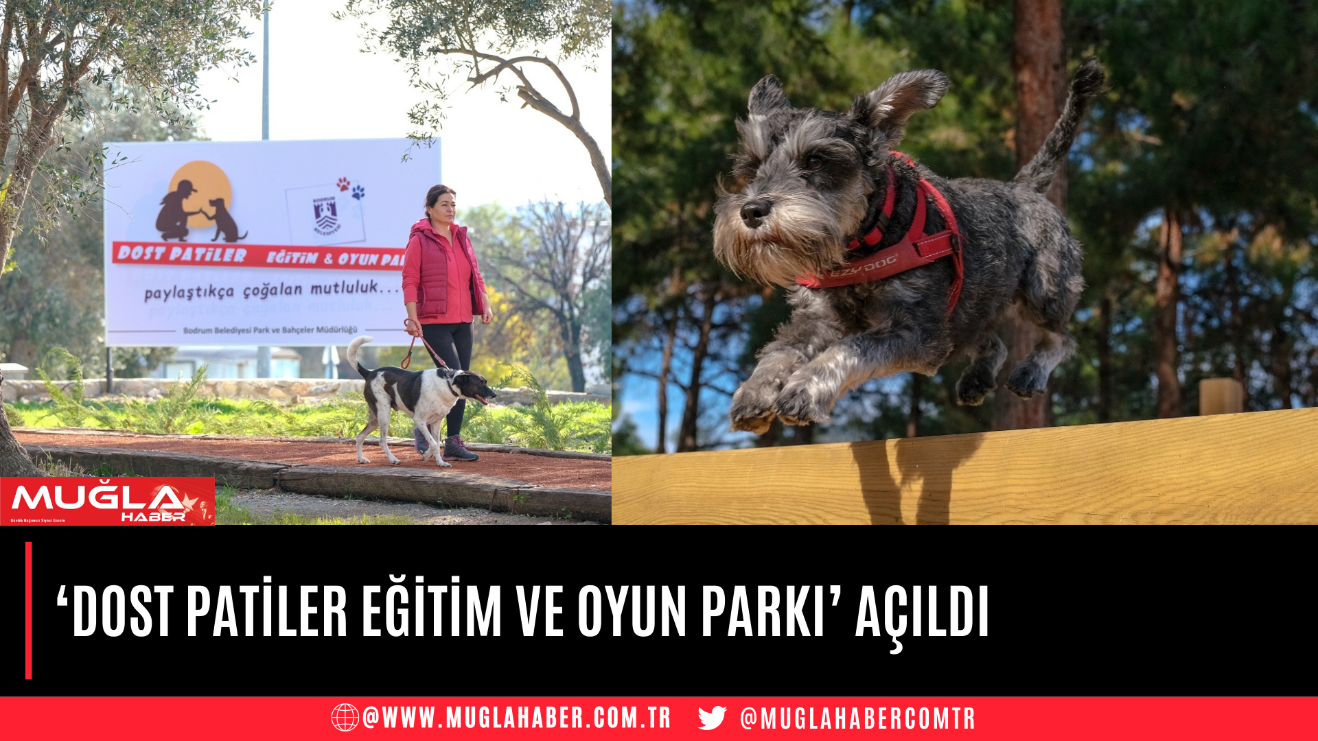 ‘DOST PATİLER EĞİTİM VE OYUN PARKI’ AÇILDI