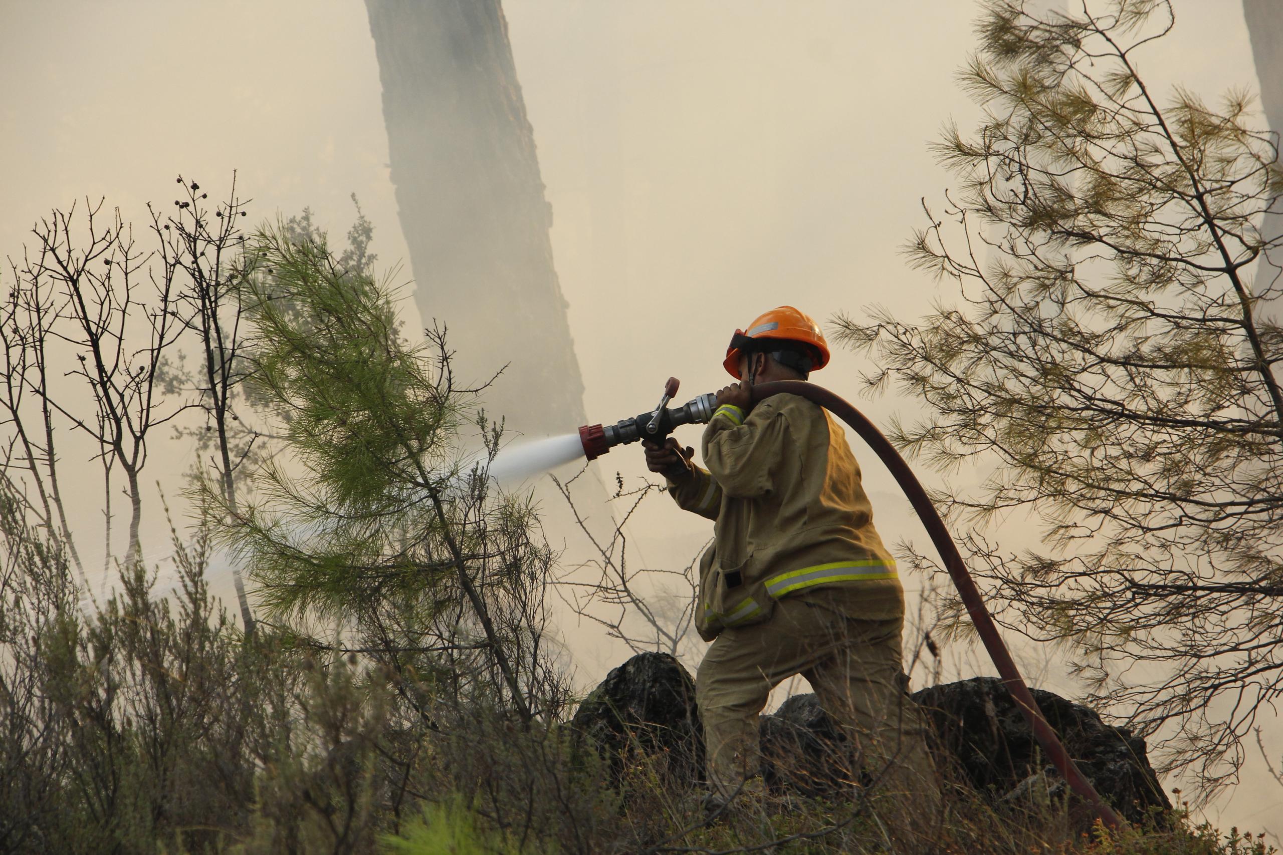 328 orman yangını meydana geldi