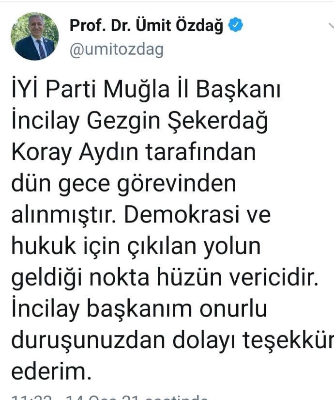 İyi Parti İl Başkanı İncilay Gezgin Şekerdağ ve yönetimi düşürüldü
