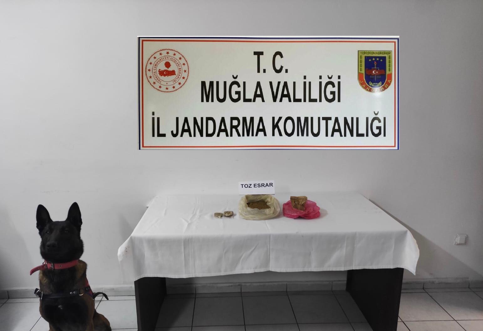 Jandarmadan uyuşturucuya geçit yok