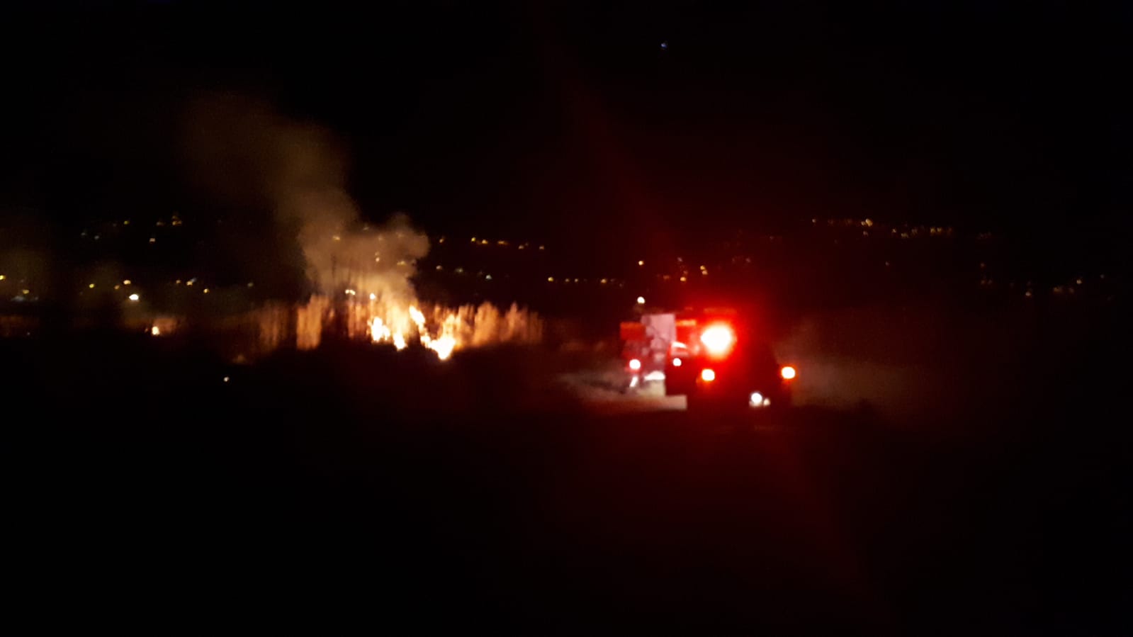 Muğla'da sazlık alanda çıkan yangın söndürüldü