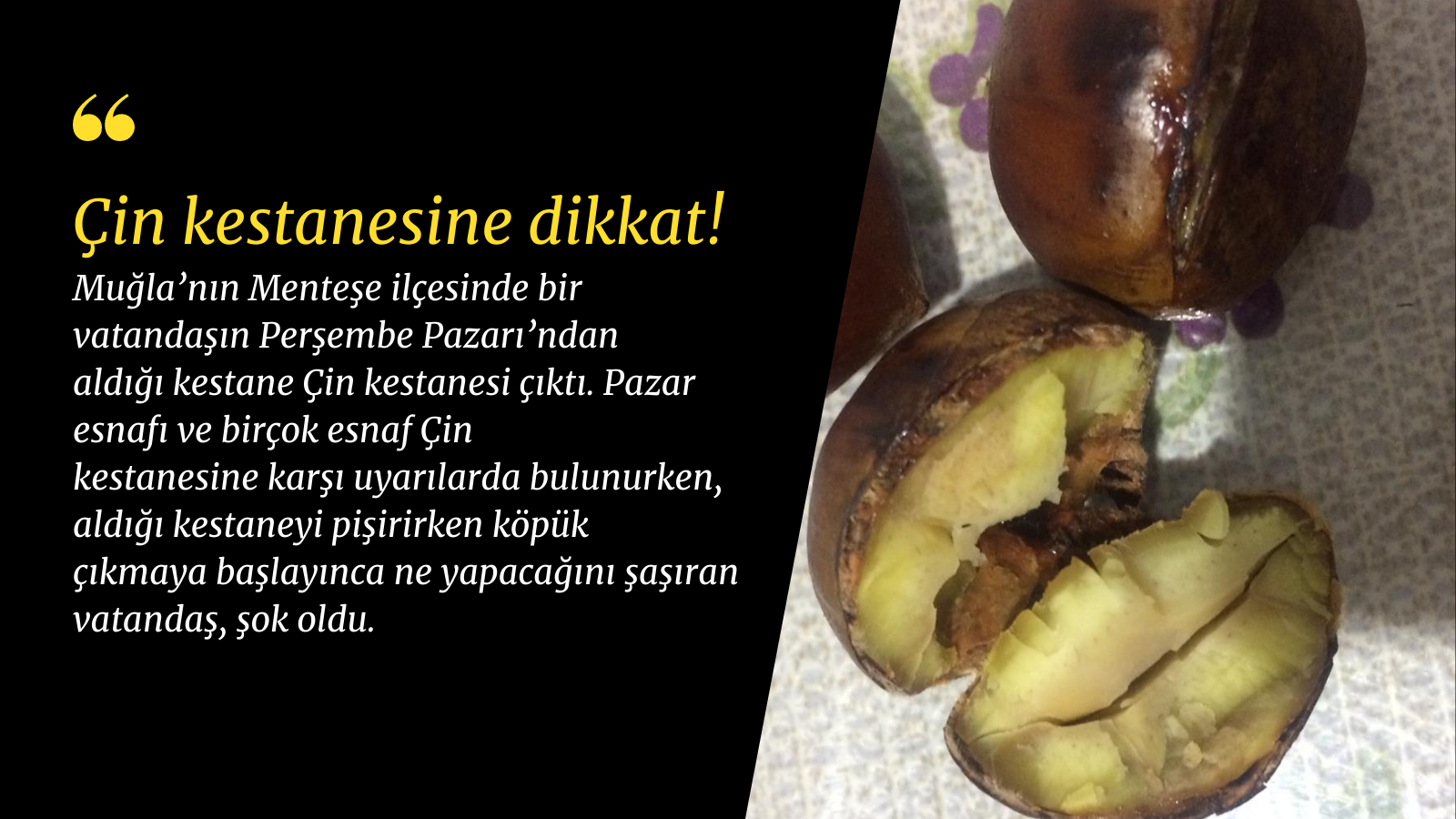 Çin kestanesine dikkat!