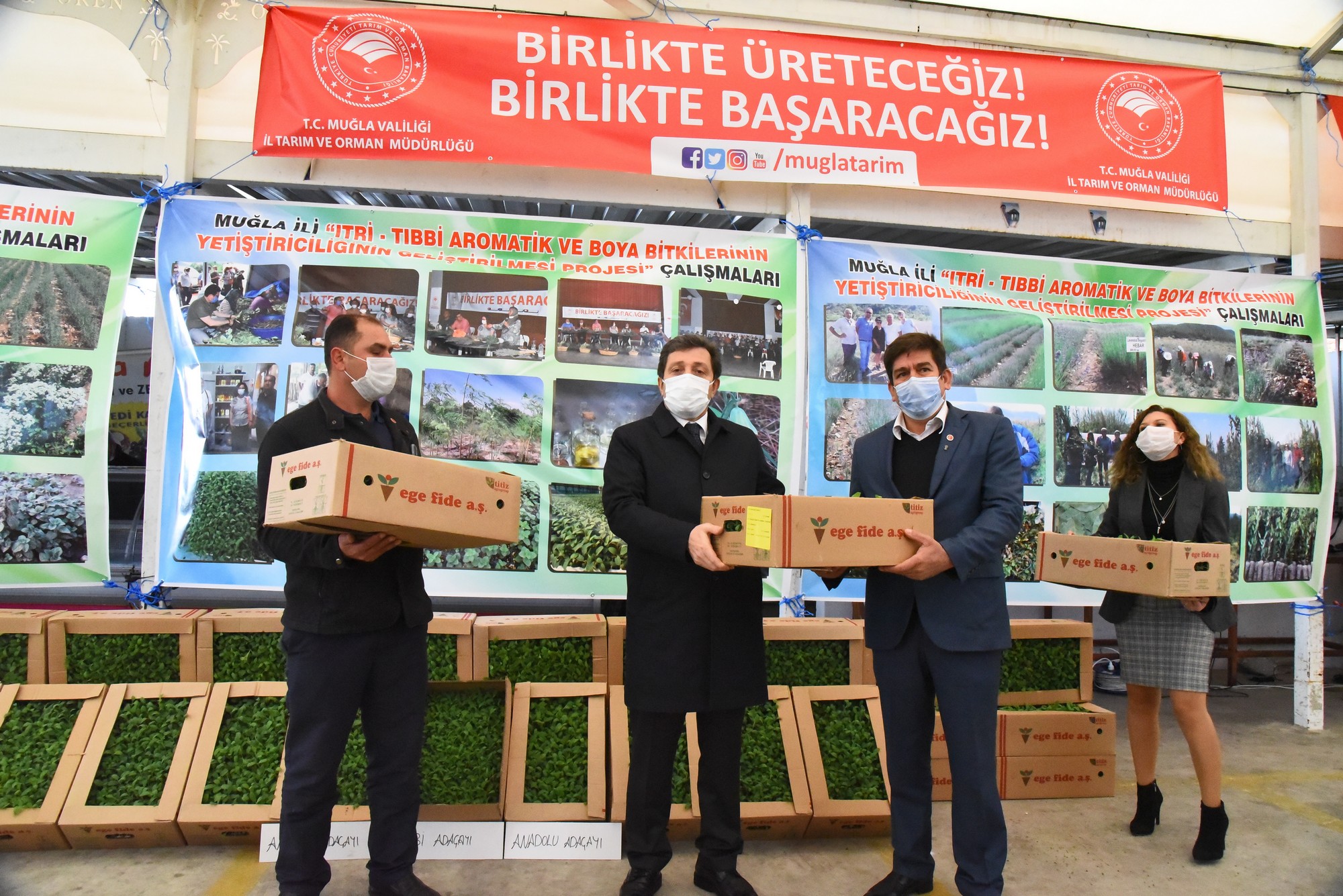 300 BİN ADAÇAYI FİDESİ ÜRETİCİLERE DAĞITILDI