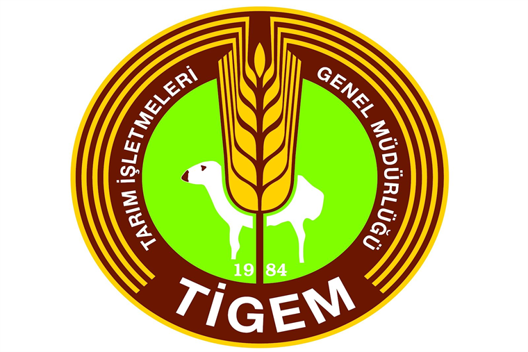 4.700 ton Valencia portakal satışı yapım ilanı