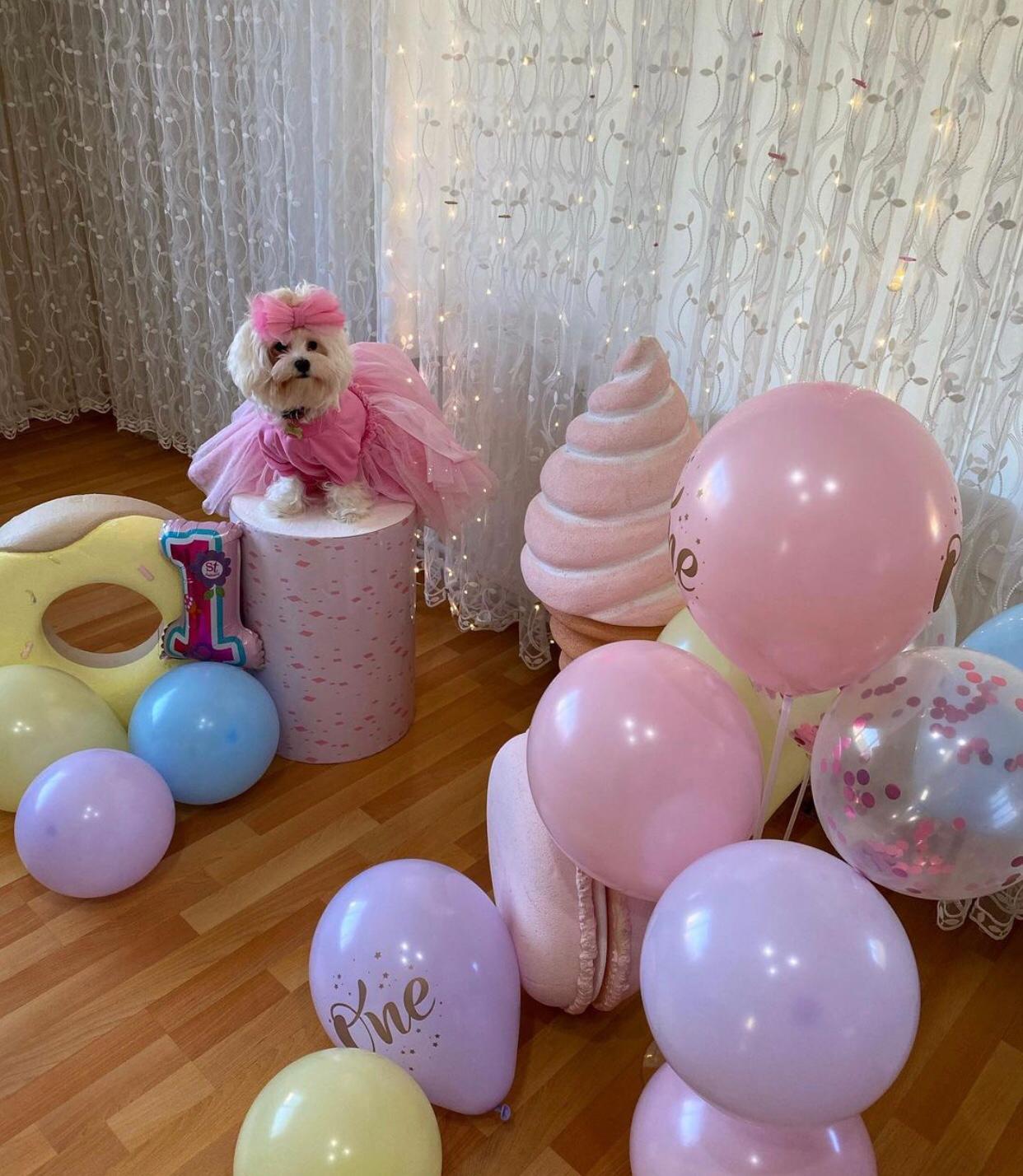 “Daisy” için doğum günü partisi düzenledi