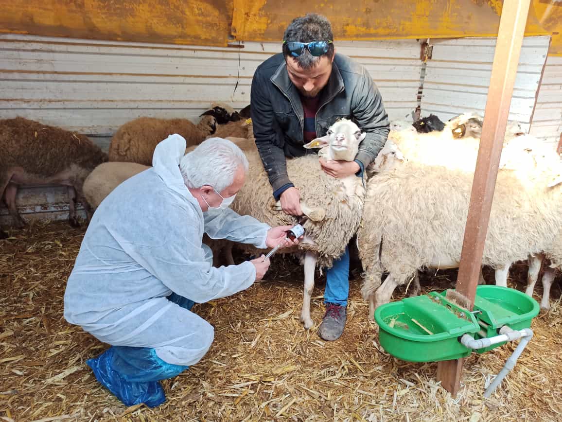 çiftlik karantinaya alındı