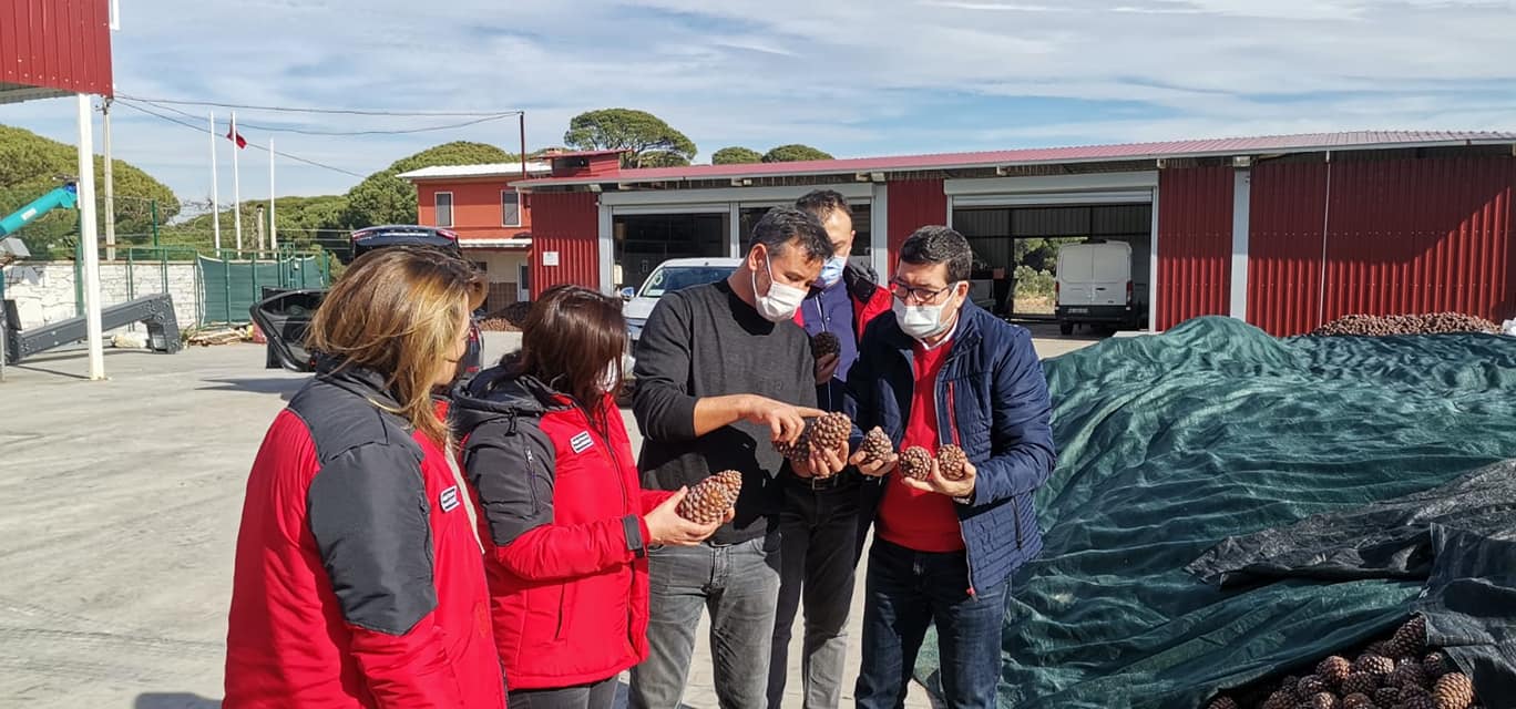 SAYLAK, YATAĞAN’DA ÇAM FISTIĞI KIRMA TESİSLERİNİ İNCELEDİ