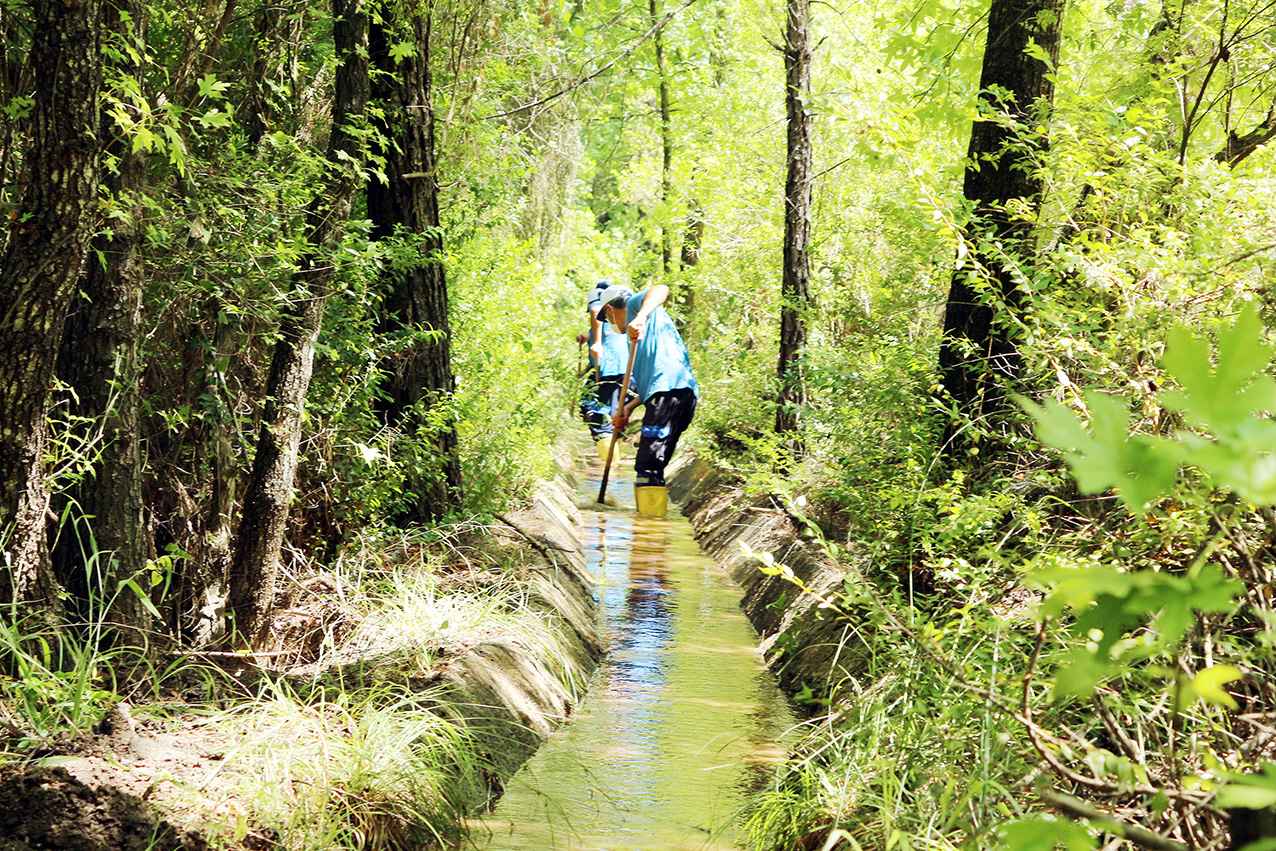 351 bin metre sulama kanalı temizlendi