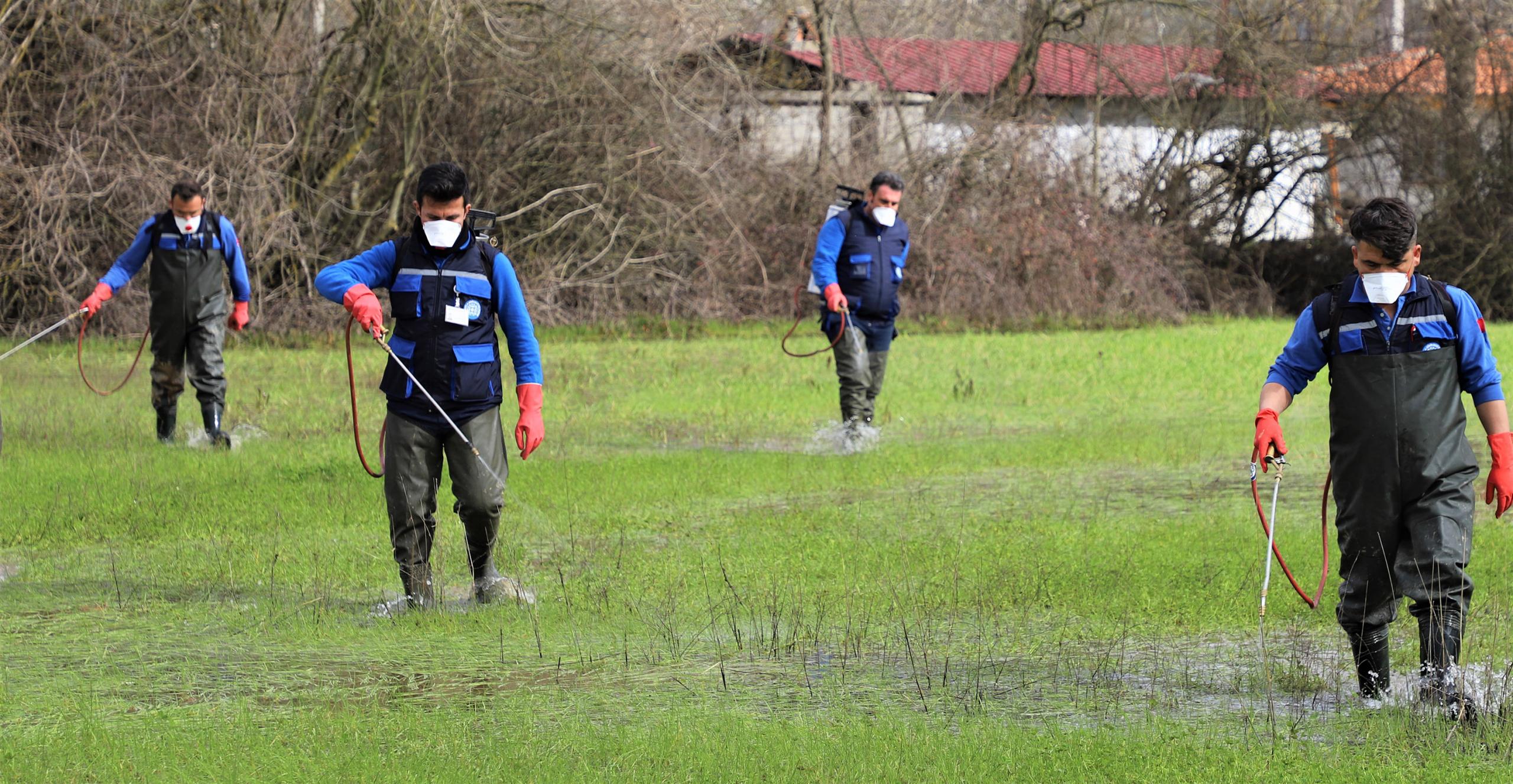 350 Hektar Sulak Alanda Vektör Mücadelesi