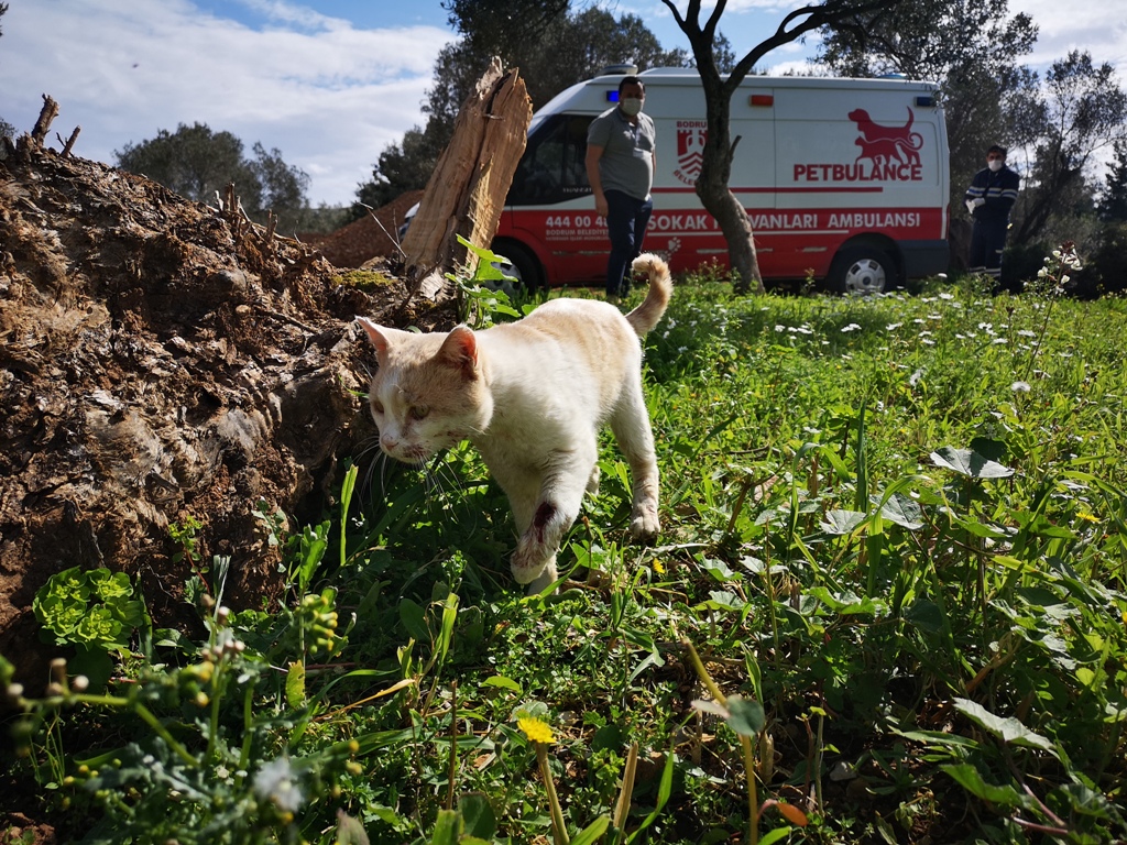500 GÜNDE 5 BİN VAKAYA MÜDAHALE EDİLDİ